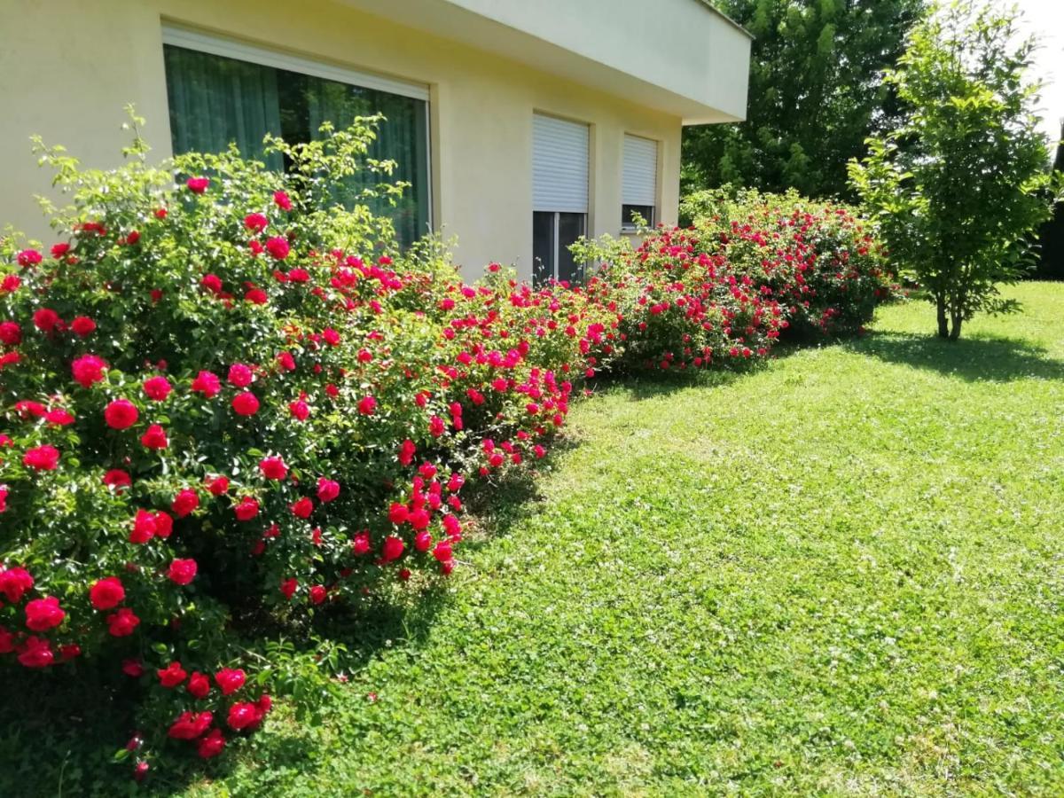 B&B Terra Del Sole ヴァルモントーネ エクステリア 写真